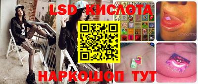 индика Рыбинск
