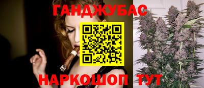 индика Рыбинск