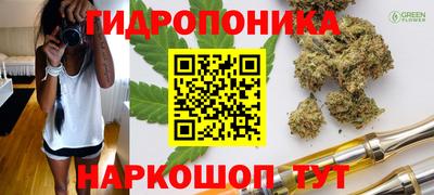 индика Рыбинск