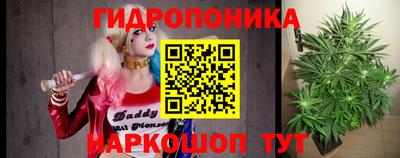 индика Рыбинск