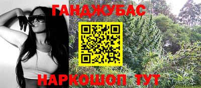 индика Рыбинск
