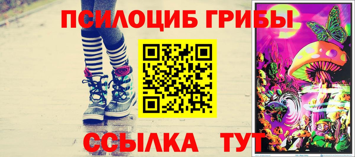Тамбов  Псилоцибиновые грибы Psilocybine cubensis  Вход с VPN  Галлюциногенные грибы ЛСД 